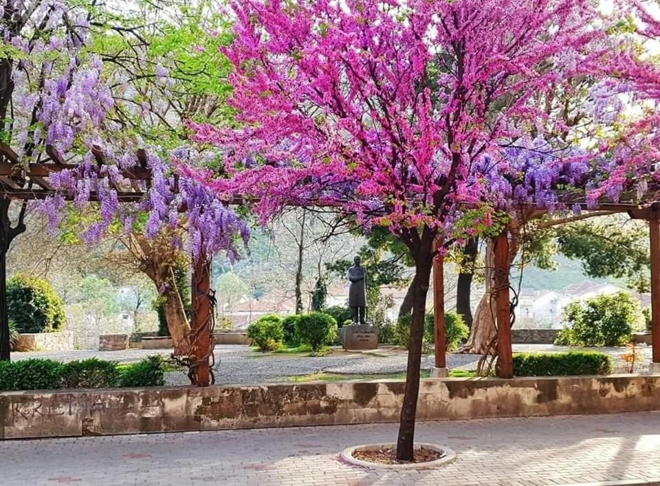 Apartment With Garden Hanja Mostar Luaran gambar